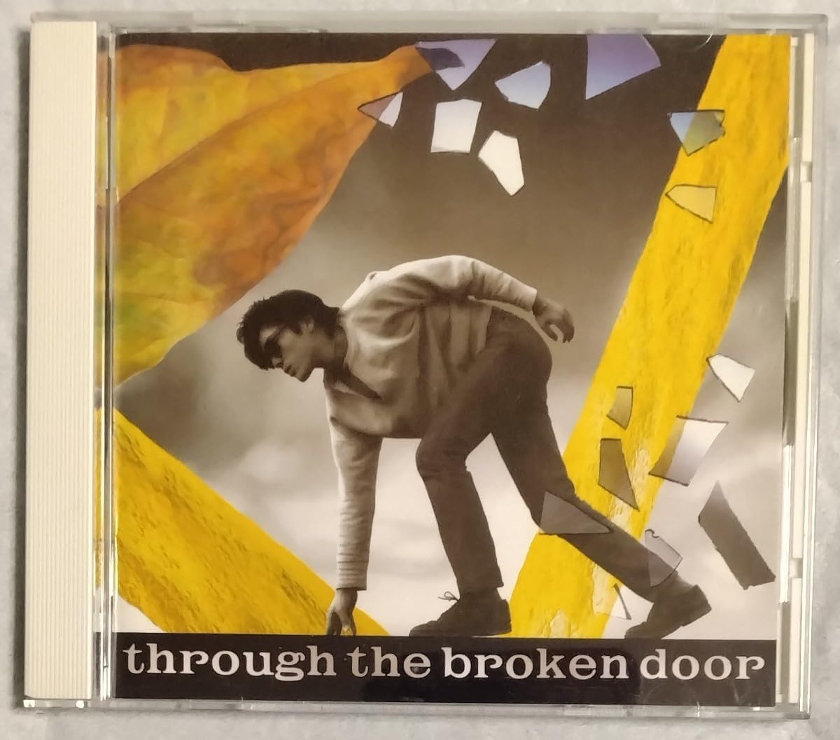 尾崎豊♦LPレコード2枚セット♦希少！！ Amazon.co.jp: 貴重/旧規格盤/初期プレス▽尾崎豊【名盤CD○壊れた扉